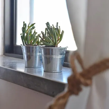 佩尼切冲浪之家旅舍 巴勒尔